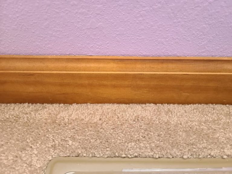 How To Paint Baseboards With Carpet An Easy Step By Step Guide My