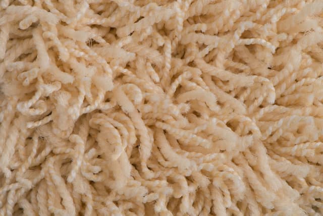 Carpet Fiber