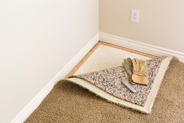 Do I Need Carpet Removal