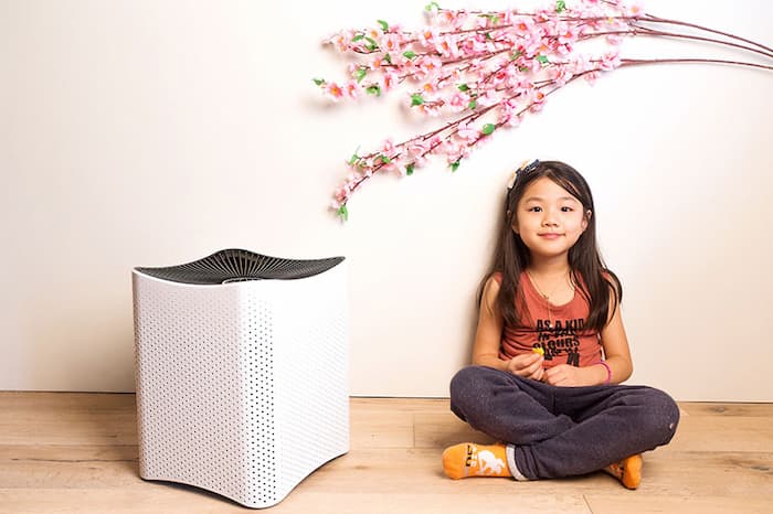 Mila Air Purifier Review