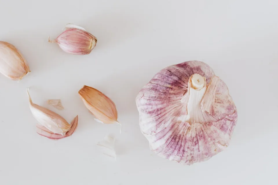 How to Store Garlic in the Proper Way