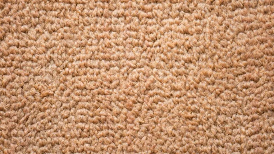 What is Berber Carpet Pros & Cons [The Ultimate Guide]