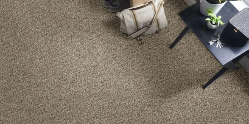 What is Berber Carpet Pros & Cons [The Ultimate Guide]