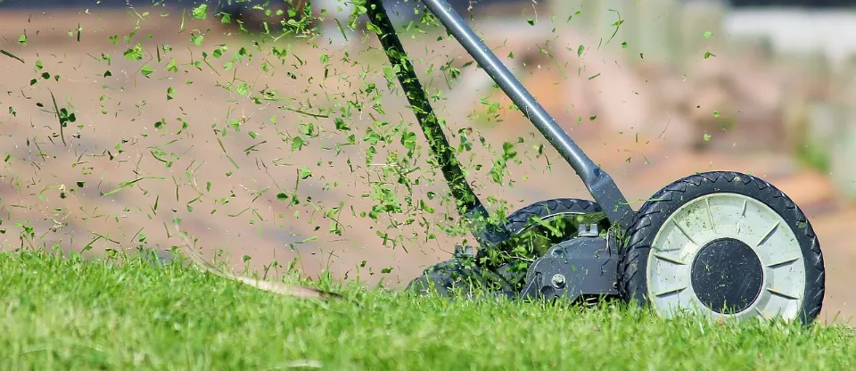 How Often Should You Water Your Lawn in the Summer? the Best Time to Water