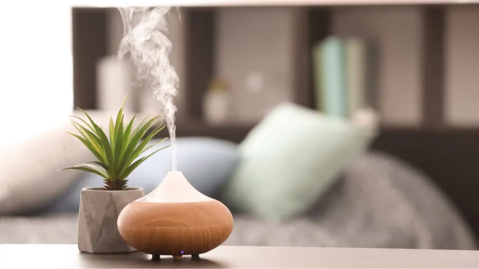 How to Clean An Essential Oil Diffuser Follow the Guide