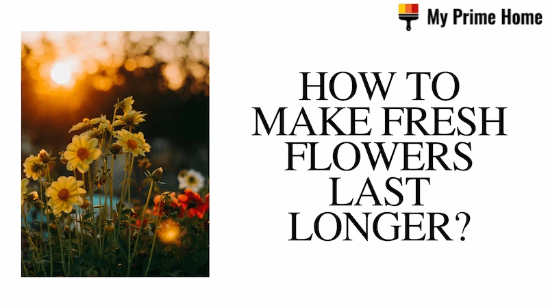 How to Make Fresh Flowers Last Longer? Follow the Tips & Tricks