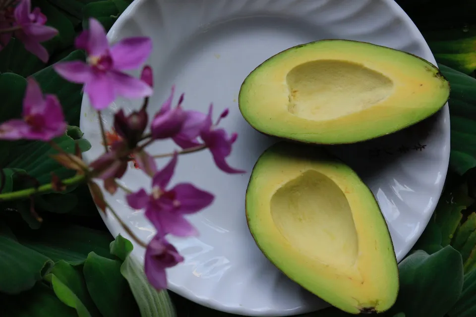 How to Plant An Avocado from Seed? Check the Ultimate Guide