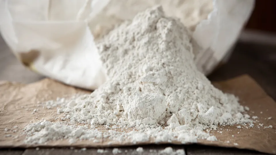 What Are the Benefits of Diatomaceous Earth?