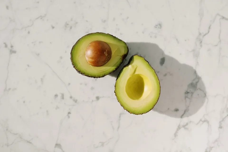 How to Plant An Avocado from Seed? Check the Ultimate Guide