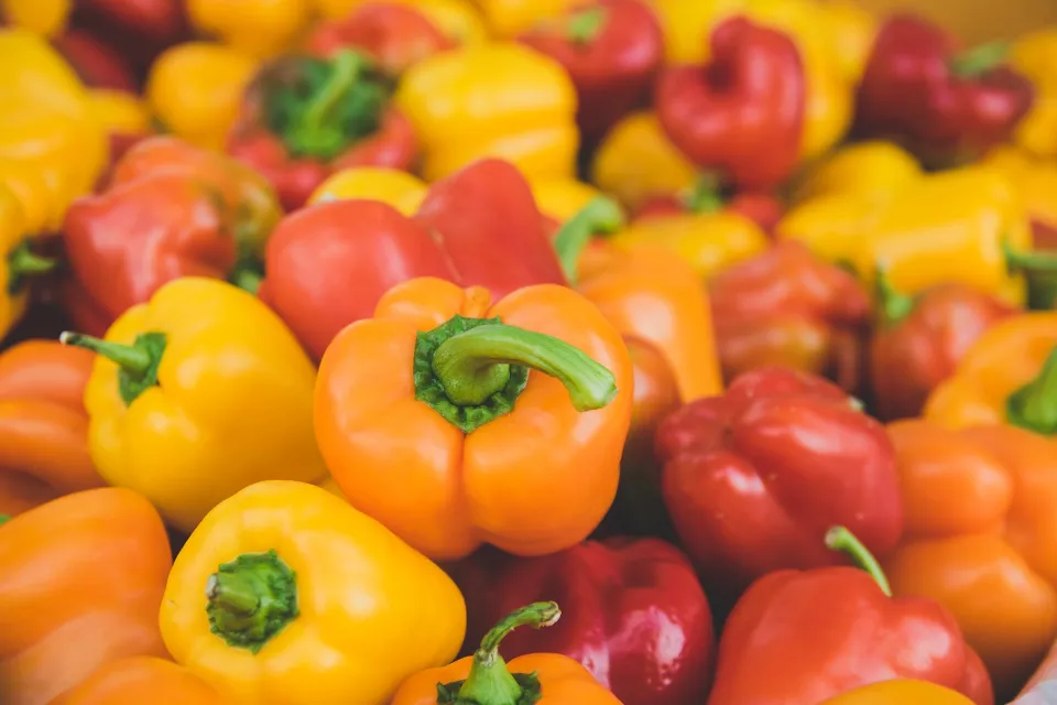 How to Store Bell Peppers to Keep Them Last Longer?