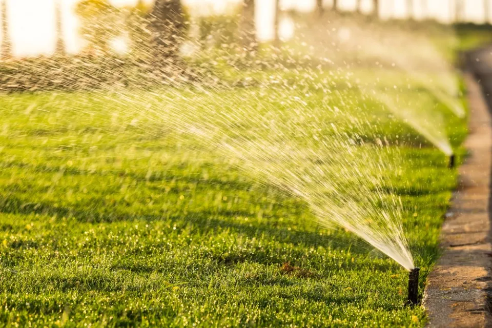 How Long to Water New Grass Seed Let's See