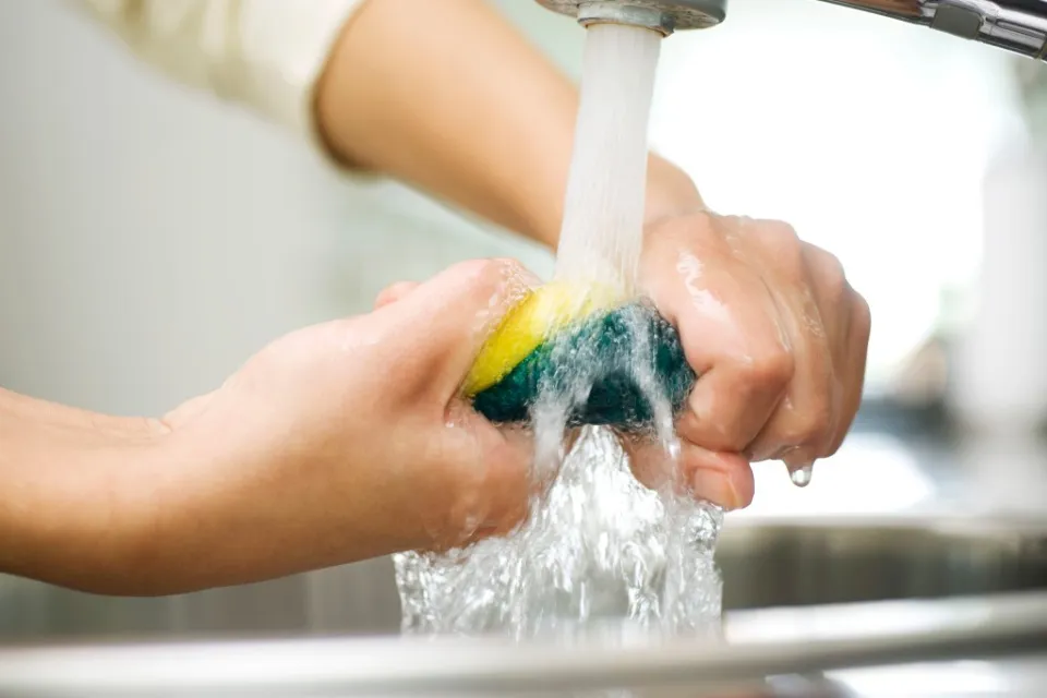 How to Clean a Sponge in the Microwave? All Explored