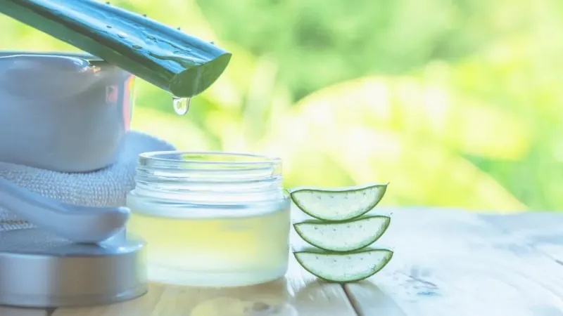 How to Use Aloe Vera? Effective Uses